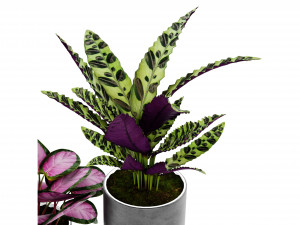 Collection Plant Vol 459 - Blender Model Model 3D