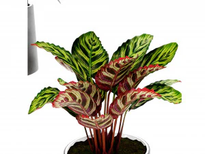Collection Plant Vol 459 - Blender Model 3D Model