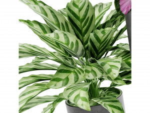 Collection Plant Vol 459 - Blender Model Model 3D