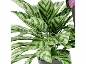 Collection Plant Vol 459 - Blender Model 3D Model