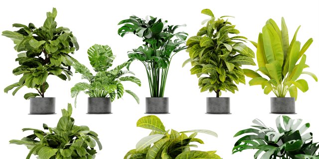 Collection Plant Vol 460 - Blender Model 3D Model .c4d .max .obj .3ds .fbx .stl .blend 