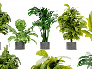 Collection Plant Vol 460 - 搅拌机模型 3D 模型