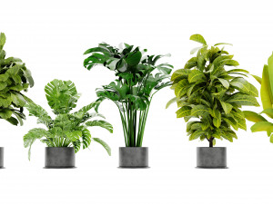 Collection Plant Vol 460 - Blender Model 3D Model