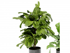 Collection Plant Vol 460 - Blender Model 3D Model