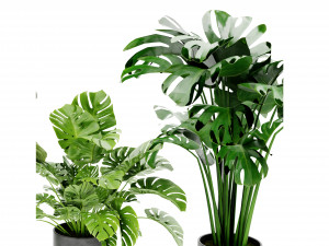 Collection Plant Vol 460 - Blender Model 3D Model