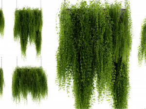 Collection Plant Vol 461 - Blender Model 3D Model
