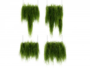 Collection Plant Vol 461 - Blender Model 3D Model