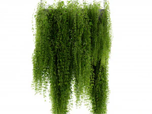 Collection Plant Vol 461 - Blender Model 3D Model