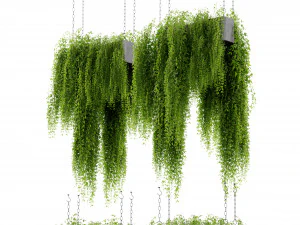 Collection Plant Vol 461 - Blender Model 3D Model