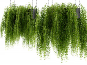Collection Plant Vol 461 - Blender Model 3D Model