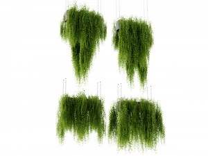 Collection Plant Vol 461 - Blender Model 3D Model