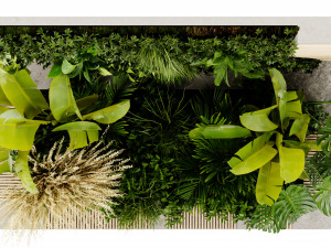 Collection Plant Vol 462 - Blender Model 3D Модель