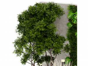 Collection Plant Vol 463 - Blender Model 3D Model