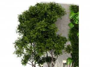 Collection Plant Vol 463 - Blender Model 3D Model