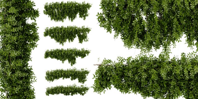Collection Plant Vol 464 - Blender Model 3D 模型 .c4d .max .obj .3ds .fbx .stl .blend 
