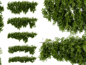 Collection Plant Vol 464 - Blender Model 3D 모델