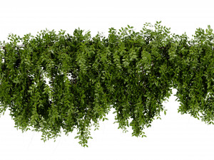 Collection Plant Vol 464 - Blender Model 3D 模型