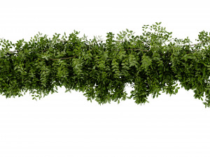 Collection Plant Vol 464 - Blender Model 3D 模型