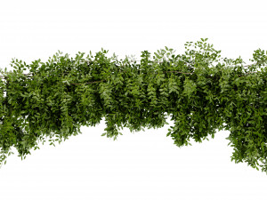 Collection Plant Vol 464 - Blender Model 3D 模型