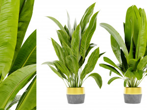 Collection Plant Vol 465 - Blender Model 3D Модель