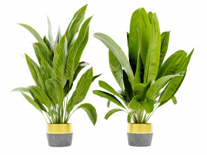 Collection Plant Vol 465 - Blender Model Modèle 3D