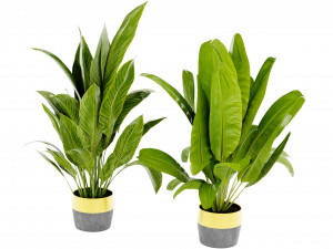 Collection Plant Vol 465 - Blender Model Modèle 3D