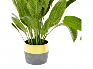 Collection Plant Vol 465 - Blender Model Modèle 3D