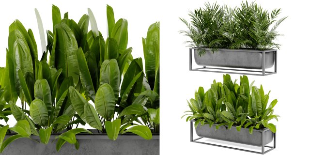 Collection Plant Vol 466 - Blender Model 3Dモデル .c4d .max .obj .3ds .fbx .stl .blend 