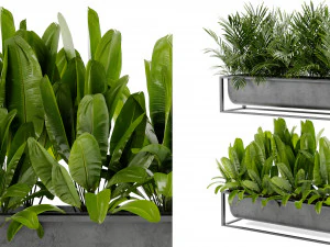 कलेक्शन प्लांट वॉल्यूम 466 - ब्लेंडर मॉडल 3D मॉडल