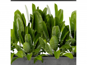 Collection Plant Vol 466 - Blender Model 3Dモデル