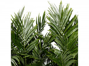 Collection Plant Vol 466 - Blender Model 3D Model