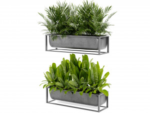 Collection Plant Vol 466 - Blender Model 3Dモデル