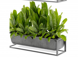 Collection Plant Vol 466 - Blender Model 3Dモデル