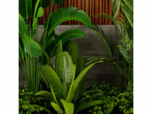 Collection Plant Vol 467 - Blender Model 3D Модель