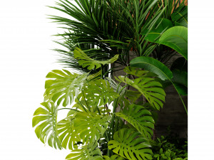 Collection Plant Vol 467 - Blender Model 3D Модель