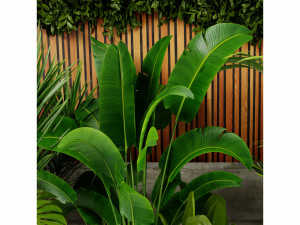 Collection Plant Vol 467 - Blender Model 3D Модель