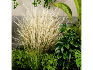 Collection Plant Vol 468 - Blender Model 3D Model