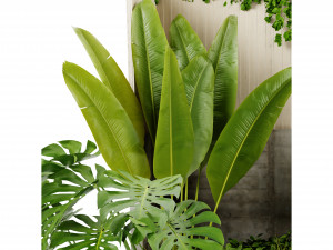 Collection Plant Vol 468 - Blender Model 3D Model