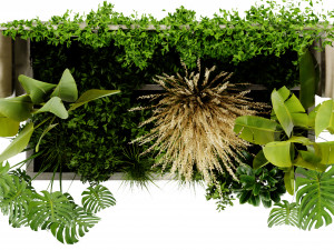 Collection Plant Vol 468 - Blender Model 3D Model