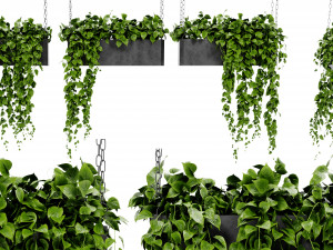 Collection Plant Vol 469 - Blender Model 3D मॉडल