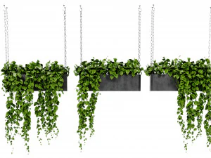 Collection Plant Vol 469 - Blender Model 3D Model