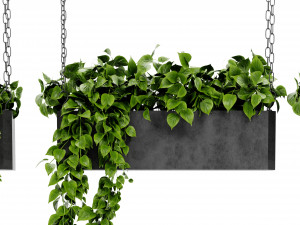 Collection Plant Vol 469 - Blender Model Modèle 3D