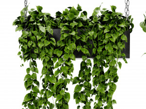Collection Plant Vol 469 - Blender Model Modèle 3D