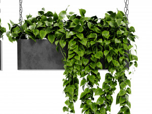 Collection Plant Vol 469 - Blender Model Modèle 3D