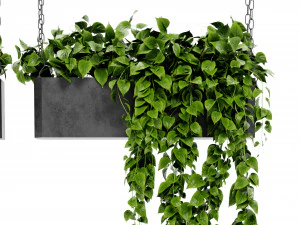Collection Plant Vol 469 - Blender Model 3D Model