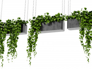 Collection Plant Vol 469 - Blender Model Modèle 3D