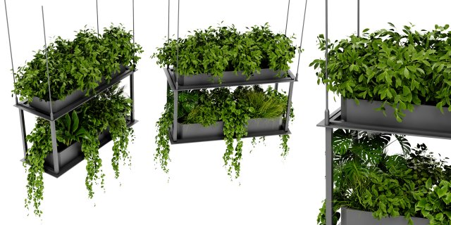 Collection Plant Vol 470 - Blender Model Modelo 3D .c4d .max .obj .3ds .fbx .stl .blend 