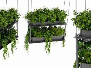 Collection Plant Vol 470 - Blender Model Modelo 3D