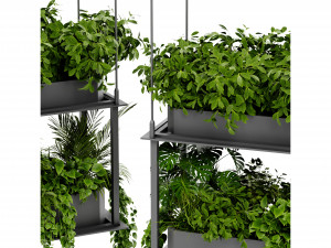 Collection Plant Vol 470 - Blender Model Modelo 3D