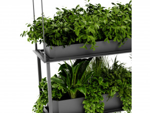 Collection Plant Vol 470 - Blender Model Modelo 3D